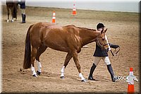 4H-State-2015-1311.jpg