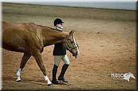 4H-State-2015-1313.jpg