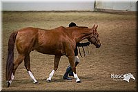 4H-State-2015-1317.jpg