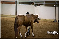 4H-State-2015-1319.jpg