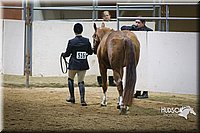 4H-State-2015-1321.jpg