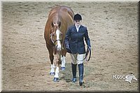 4H-State-2015-1326.jpg