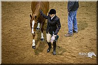 4H-State-2015-1332.jpg