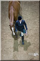 4H-State-2015-1334.jpg