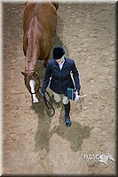 4H-State-2015-1335.jpg