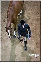 4H-State-2015-1338.jpg