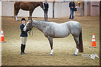 4H-State-2015-1343.jpg