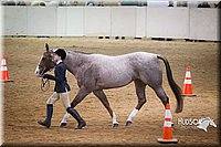 4H-State-2015-1344.jpg