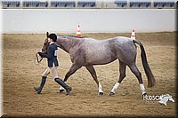 4H-State-2015-1345.jpg