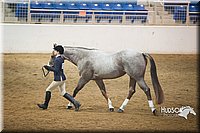 4H-State-2015-1346.jpg