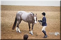 4H-State-2015-1353.jpg