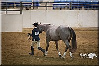 4H-State-2015-1355.jpg