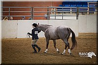 4H-State-2015-1357.jpg