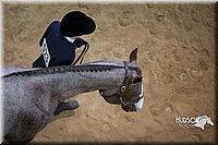 4H-State-2015-1361.jpg