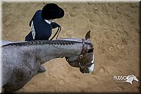 4H-State-2015-1362.jpg