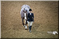 4H-State-2015-1363.jpg