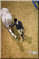 4H-State-2015-1368.jpg