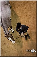 4H-State-2015-1371.jpg