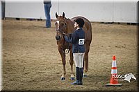 4H-State-2015-1375.jpg