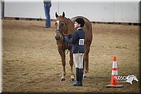 4H-State-2015-1376.jpg