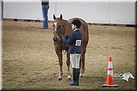 4H-State-2015-1377.jpg