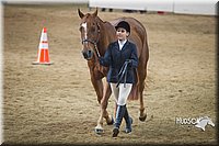 4H-State-2015-1378.jpg