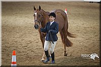 4H-State-2015-1380.jpg