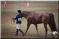 4H-State-2015-1382.jpg