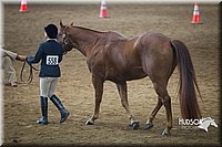 4H-State-2015-1383.jpg