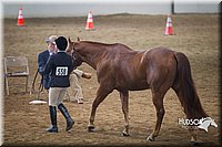 4H-State-2015-1384.jpg