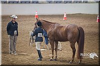 4H-State-2015-1385.jpg