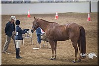 4H-State-2015-1386.jpg