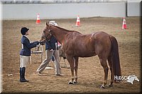 4H-State-2015-1387.jpg