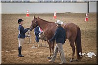 4H-State-2015-1388.jpg