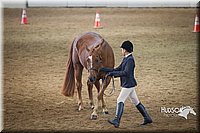 4H-State-2015-1389.jpg