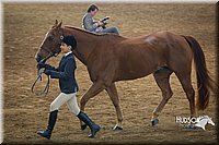 4H-State-2015-1391.jpg