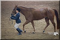 4H-State-2015-1392.jpg