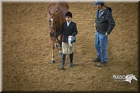 4H-State-2015-1402.jpg