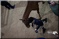 4H-State-2015-1413.jpg