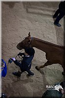 4H-State-2015-1414.jpg