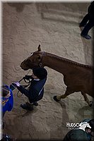 4H-State-2015-1415.jpg