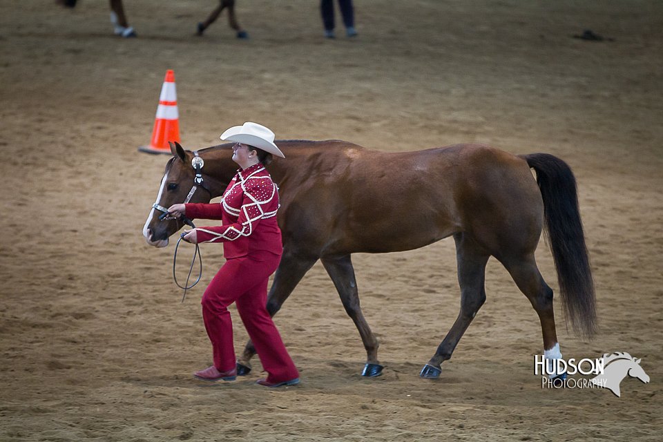 4H-State-2015-1458.jpg