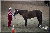 4H-State-2015-1457.jpg