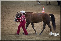 4H-State-2015-1459.jpg