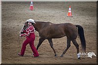 4H-State-2015-1461.jpg