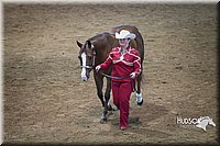 4H-State-2015-1464.jpg