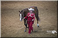 4H-State-2015-1465.jpg
