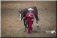 4H-State-2015-1465.jpg