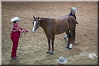 4H-State-2015-1468.jpg