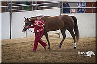 4H-State-2015-1472.jpg